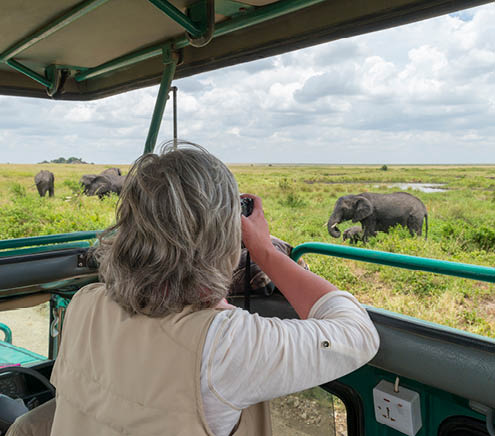 Woman in safari jeep taking picture of elephants, Africa, Serengeti national park  Camera on bean bag 