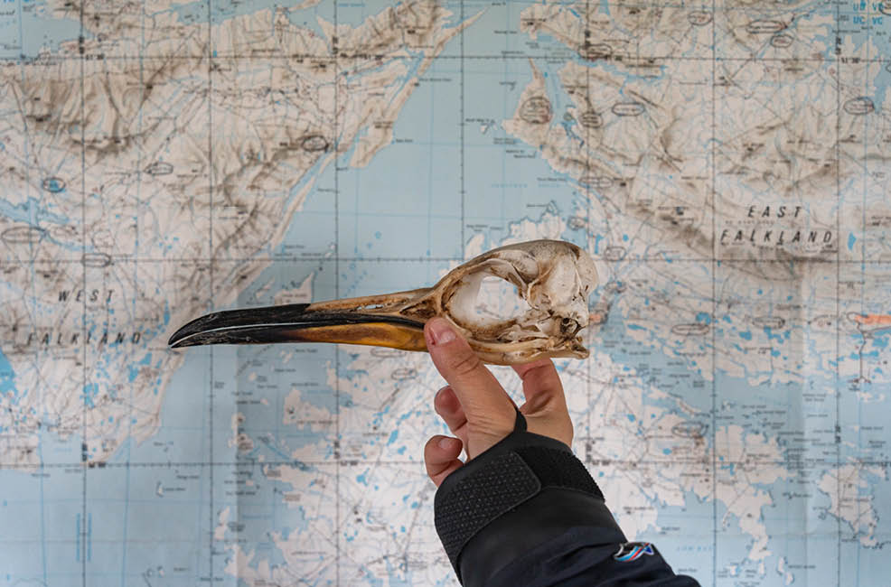 Photo by Adam Moore | Edges Of Earth