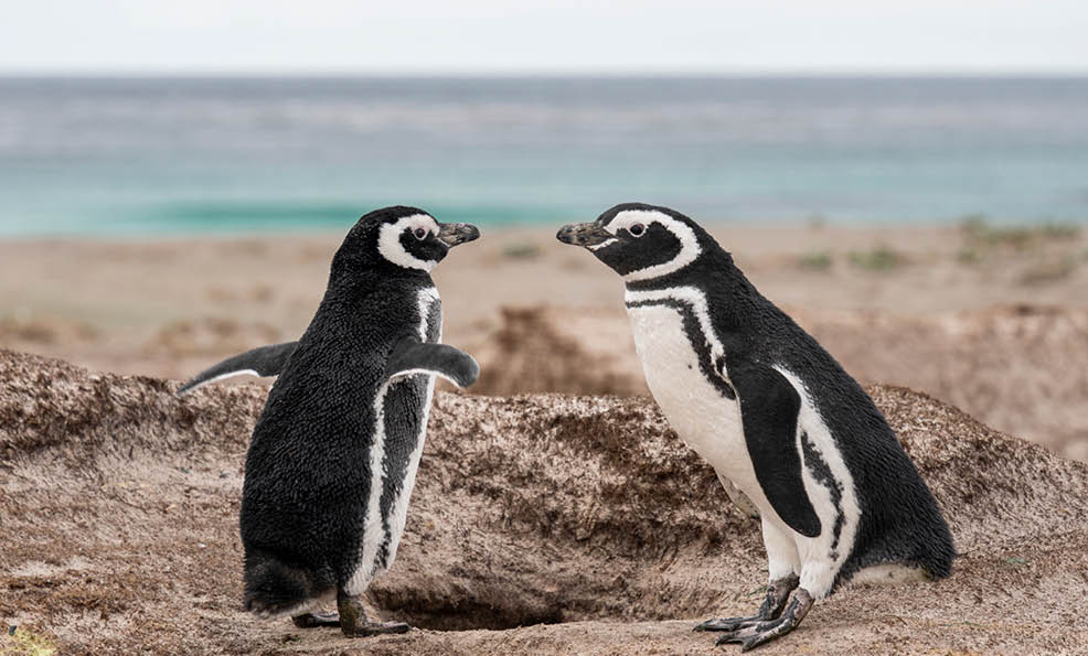 Photo by Adam Moore | Edges Of Earth