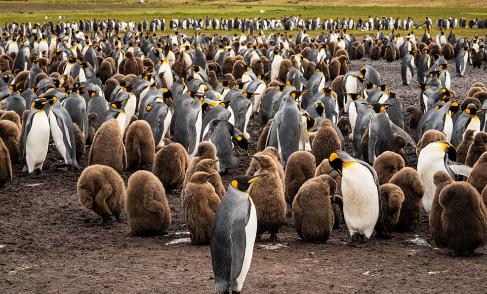 Photo by Adam Moore | Edges Of Earth