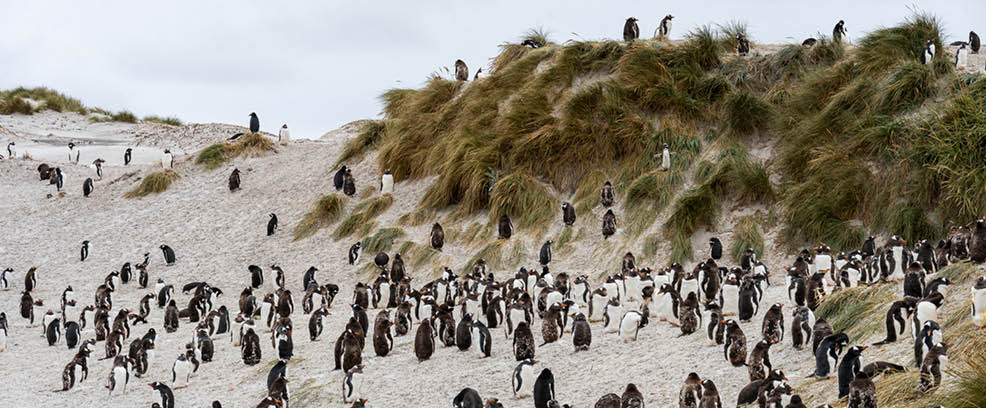 Photo by Adam Moore | Edges Of Earth