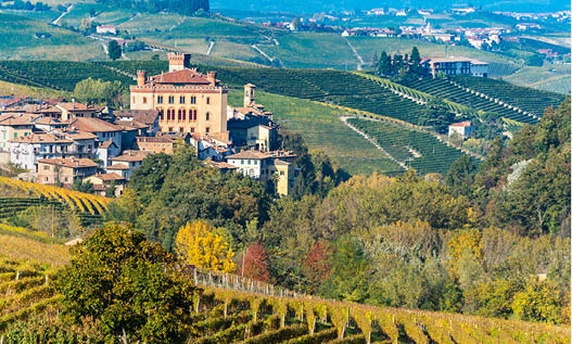 The picturesque town of Barolo with its castle among the vineyards of Langhe Region, UNESCO World Heritage Site, Italy