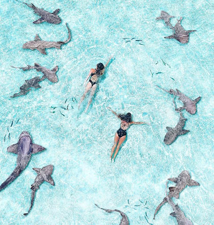 DCIM 100MEDIA DJI_0156 JPG