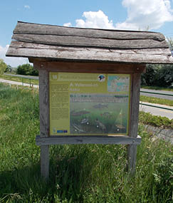 : Birdsong Nature Trail, station 18 info boards about fishes of Lake Velence  Close to the Boat harbour (next to the Fishing Resort MOHOSZ)   - Chernel Street, Agárd,   :en:Gárdony Gárdony  ,   :en:Fejér County Fejér County  ,   :en:Hungary Hungary   }}{{hu 1 : Magyar Országos Horgász Szövetség (MOHOSZ) Agárdi Horgászüdülője melletti  csónakkikötő bejárata közelében tábla a Velencei tó halairól  Halfajták: amur,  harcsa (1), süllő (2), csuka (3), balin (4), ponty (5), compó (6), dévérkeszeg (7), vörösszárnyúkeszeg (8) számok a képen   Madárdal tanösvény, Tóparti túra része  -   :hu:Veszprém megye Veszprém megye  ,   :hu:Gárdony Gárdony  , Agárd városrész, Chernel István utca illetve Tóparti út{{Location 47 11 8 68 N 18 34 30 11 E region:HU_heading:SW}}