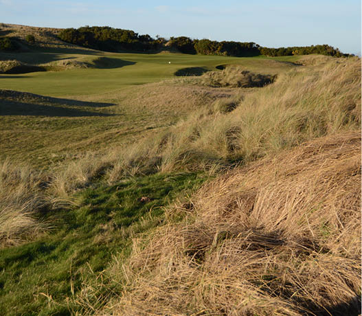 The Fife Coastal Walk at Kinsbarns on a sunny Scottish New Years Eve 2019