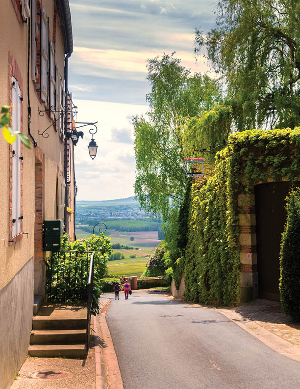 Narrow street with amazing view on vineyards of Champagne, summer France