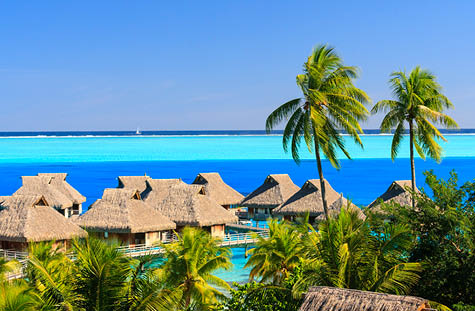 Palm trees overlooking tropical resort, Bora Bora, French Polynesia