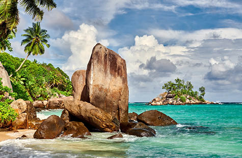 Beautiful beach with palm tree and rocks landscape at Seychelles, Mahe