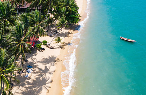 Aerial scenery of picturesque coastline with turquoise water waves and green tropical palms. Bird's eye view of paradise beach with boat near shoreline of Hawaii, destination for summer vacations 