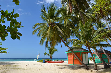 Visit Barbados