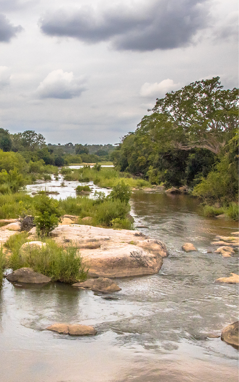 Panorama of Sabie river crossing near Skukuza camp in Kruger national park South Africa